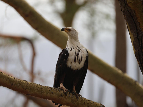 Muka Tours and Safaris-马林地必去景点