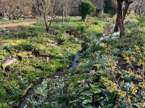 East Lambrook Manor Gardens-South Petherton必去景点