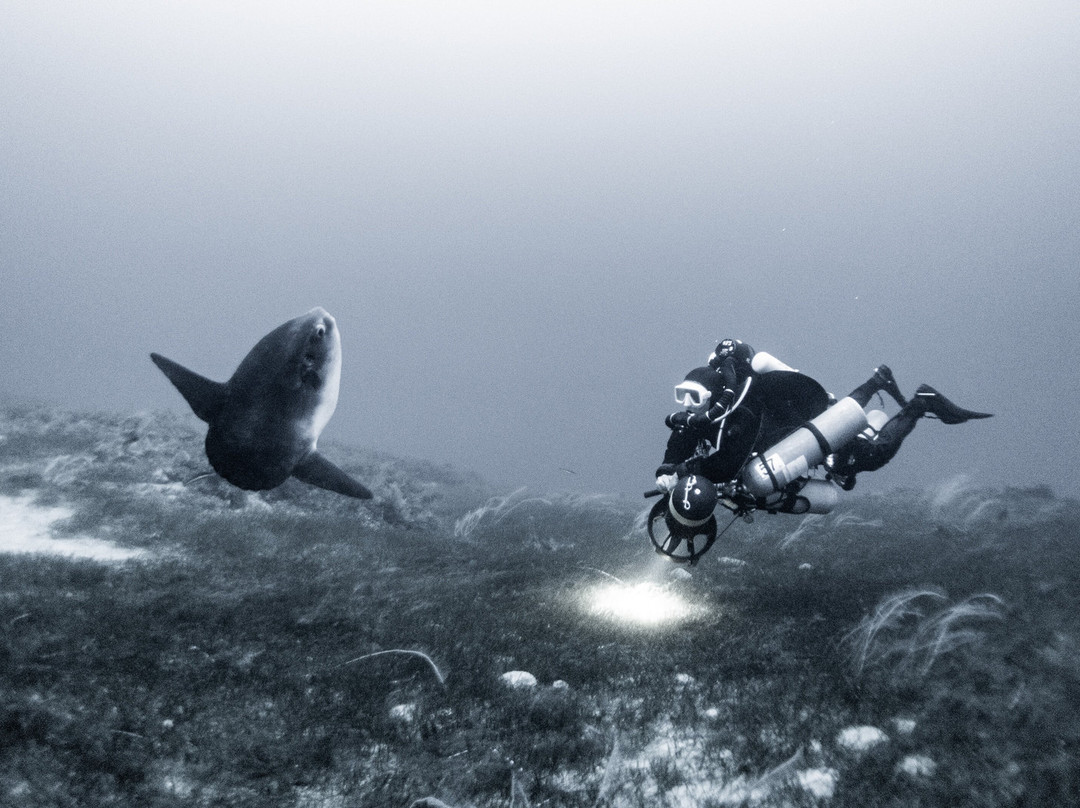 Argentario Divers-Porto Ercole必去景点