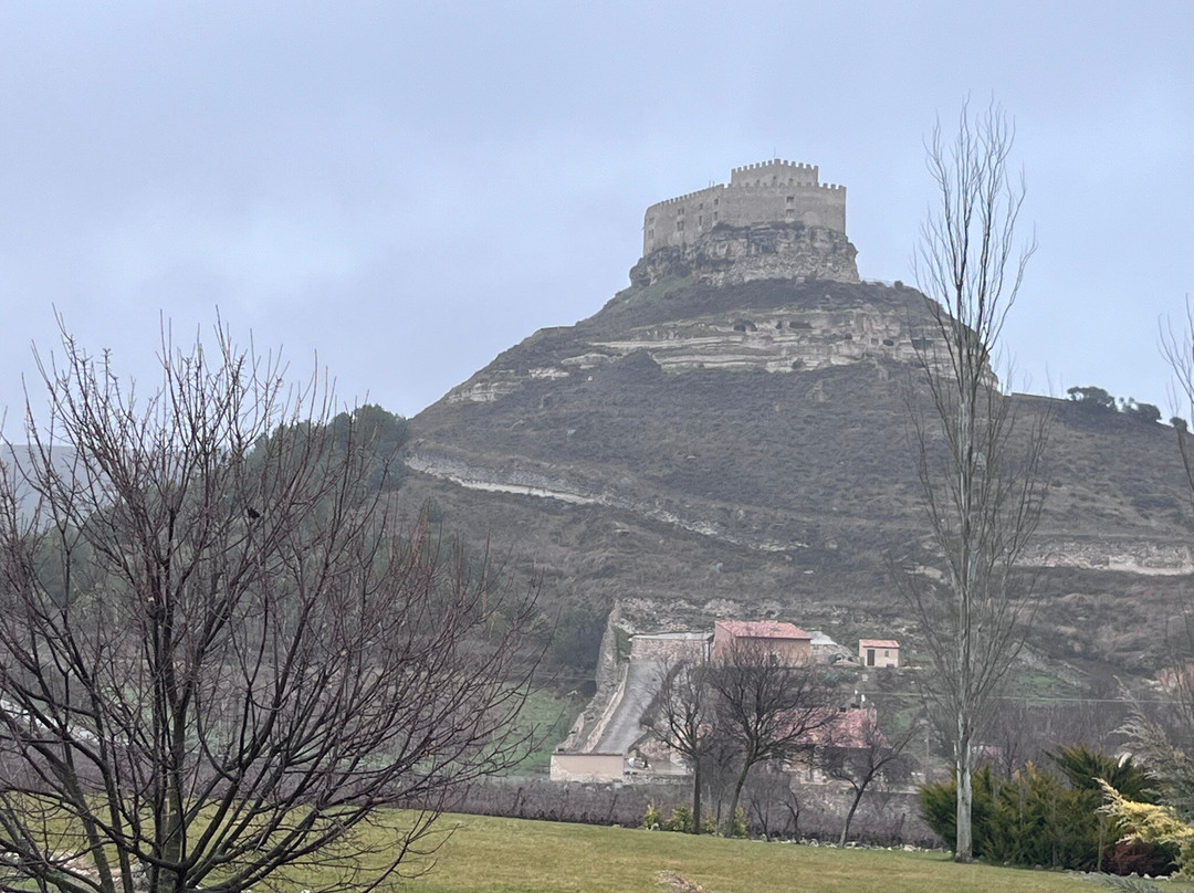 Bodegas Comenge-Curiel de Duero必去景点