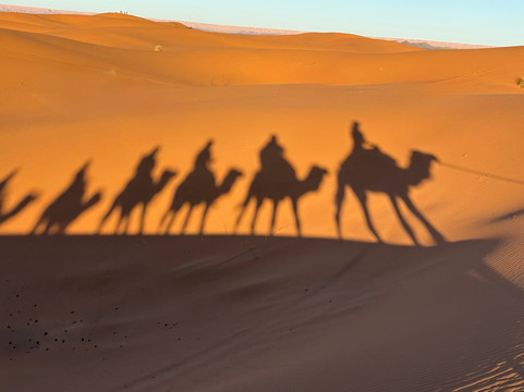 Fez City Tour-非斯必去景点