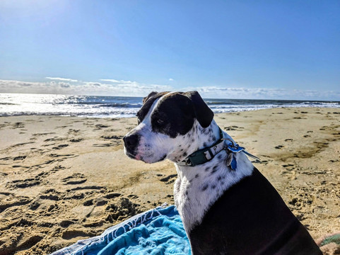 Gordons Pond-里霍博斯比奇必去景点