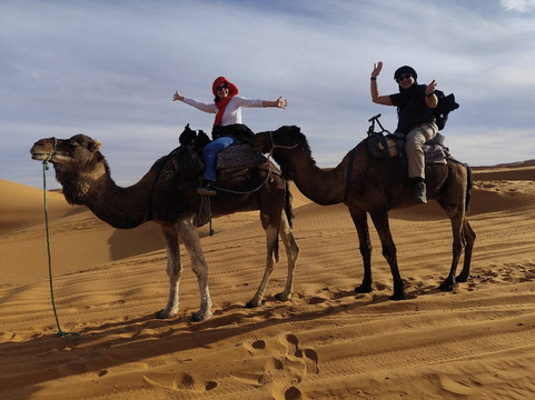 Magic Sahara Tours-卡萨布兰卡必去景点