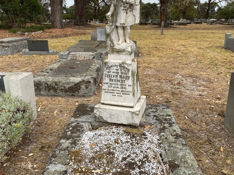 Mornington Cemetery-Mt Martha必去景点