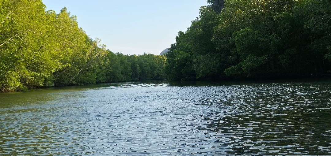 Langkawi Mangrove Night Safari-兰卡威必去景点