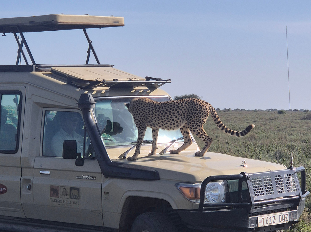 Earthlife Expeditions-阿鲁沙必去景点