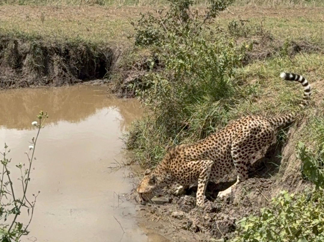 Africa Magic Holidays & Tours-阿鲁沙必去景点