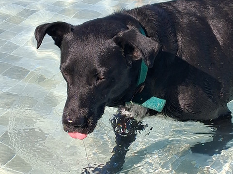 波垂利罗斯大酒店主图