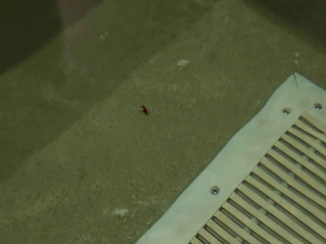 伊根明尼苏达戴斯酒店-近美国购物中心主图