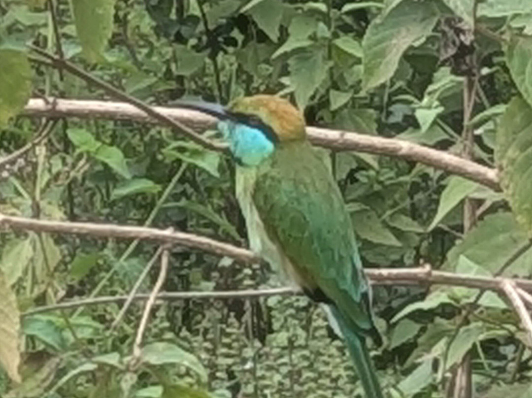 Niluka Safari-乌达瓦拉瓦必去景点