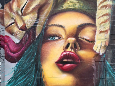 Local Sauce Tours-悉尼必去景点