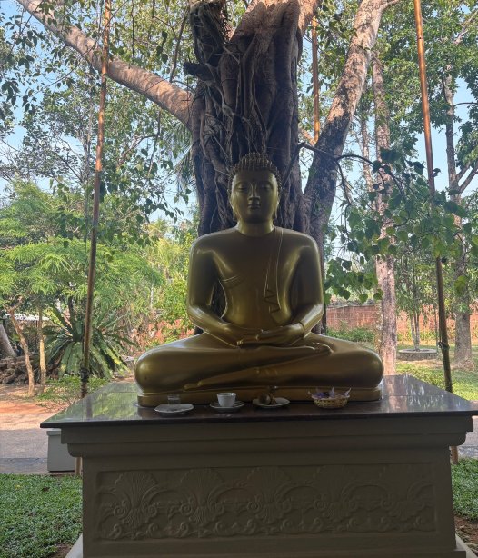 斯蒂哈尔帕阿育吠陀度假村 - 餐点全包/阿育吠陀疗法/瑜珈-官方