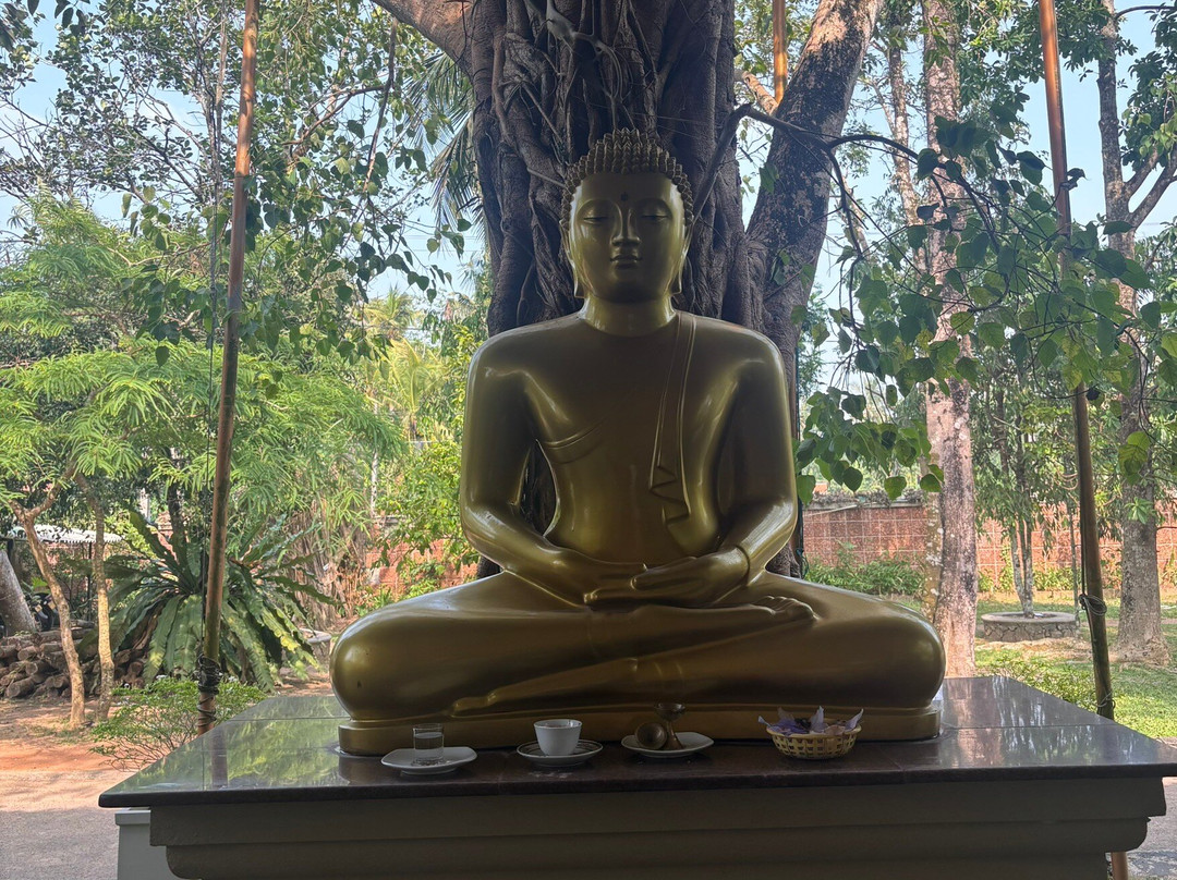 斯蒂哈尔帕阿育吠陀度假村 - 餐点全包/阿育吠陀疗法/瑜珈主图