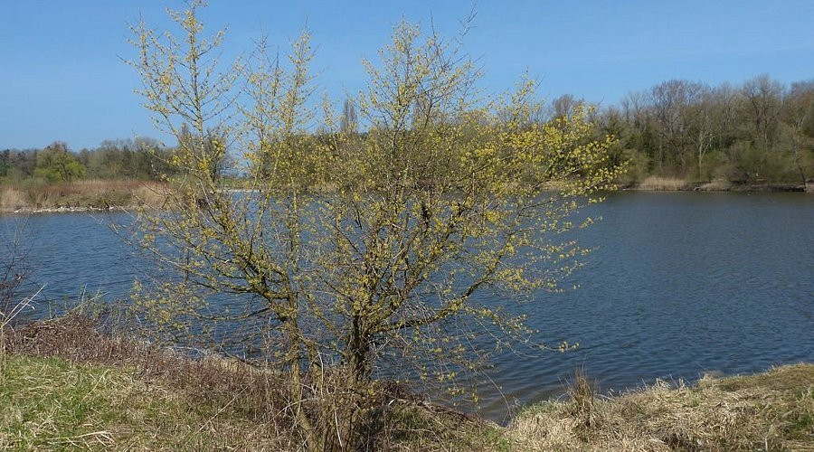 Nature Reserve Eselschwanz-圣马格雷滕必去景点