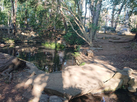 Benzaiten Pond-狛江市必去景点
