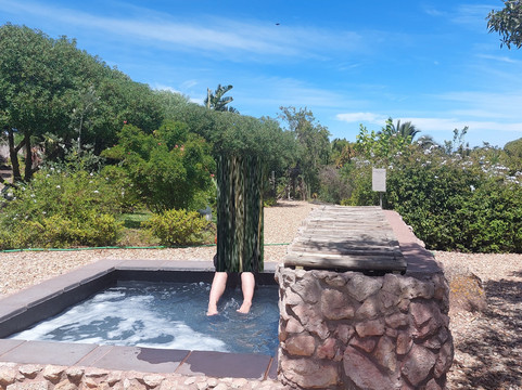 Forest Fiends Urban Farm-Vredenburg必去景点