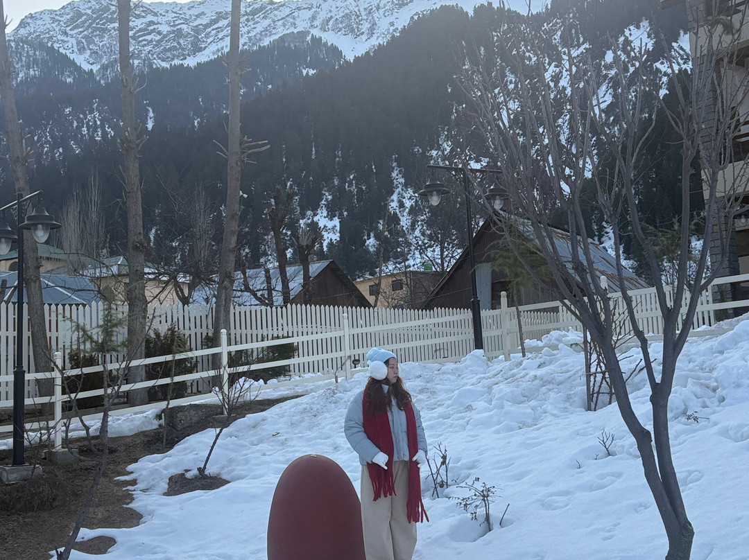Heevan Villas Sonamarg - River Front Luxury主图