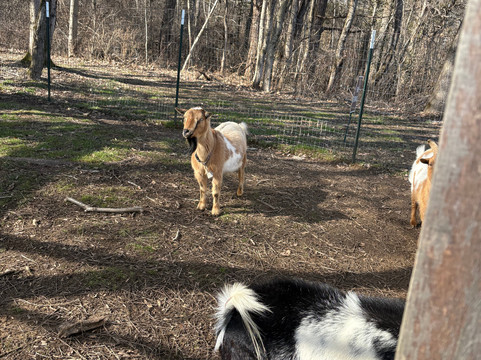 Indiana Caverns-Corydon必去景点