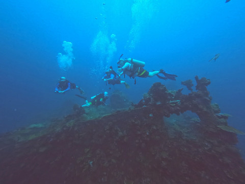 Dugong Dive Center-San Jose必去景点