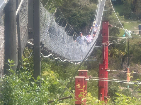 Buller Gorge Swingbridge Ltd-Murchison必去景点