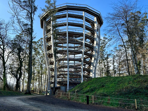 Beyond the Trees Avondale-Rathdrum必去景点