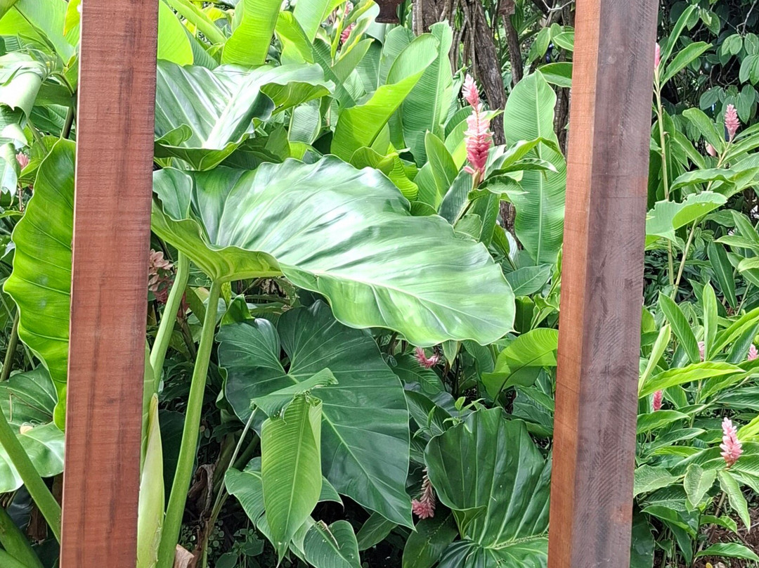 Le Valombreuse Statues-Petit-Bourg必去景点