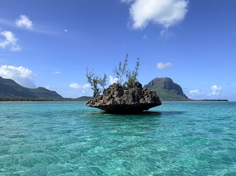 Dolphin Warrior-La Gaulette必去景点