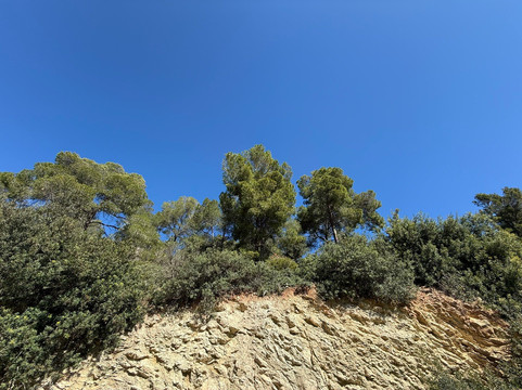 Majorca Royal Bendinat-卡尔维亚必去景点