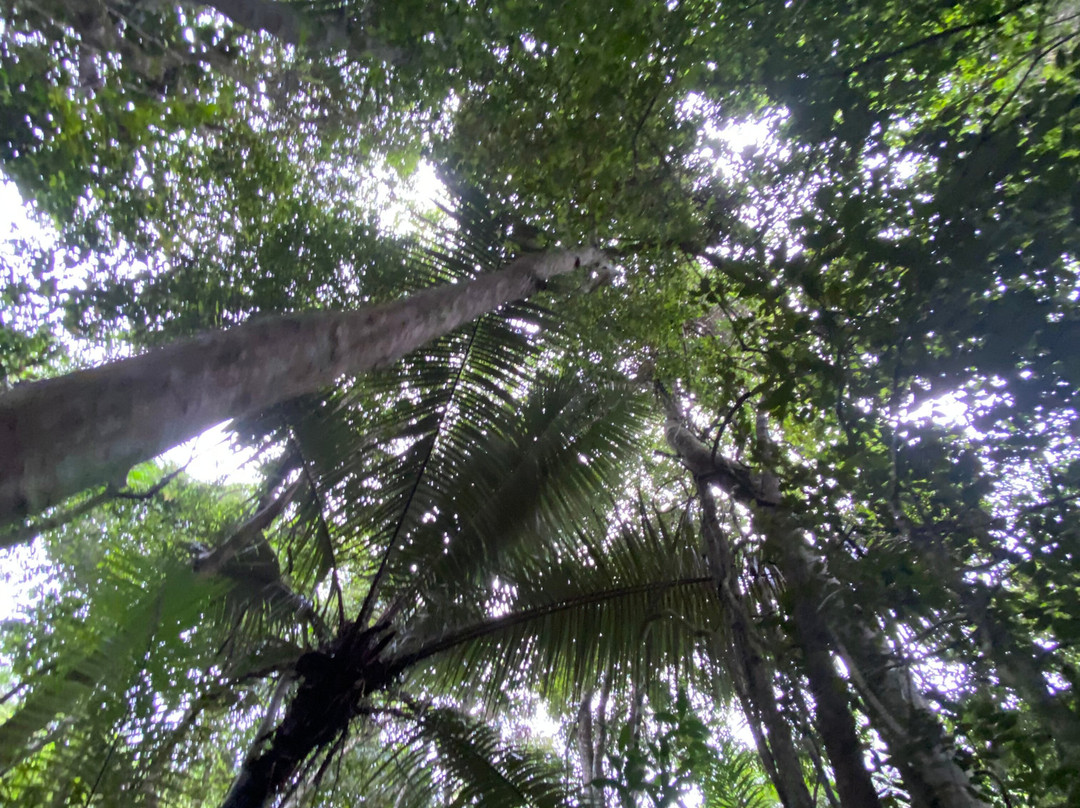 Terra Das Tribos Ecoturismo-乌巴图巴必去景点