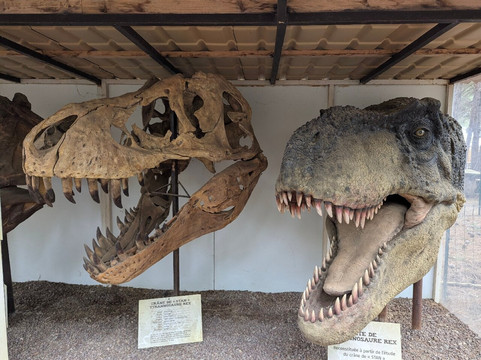 Musee - Parc des Dinosaures-Meze必去景点