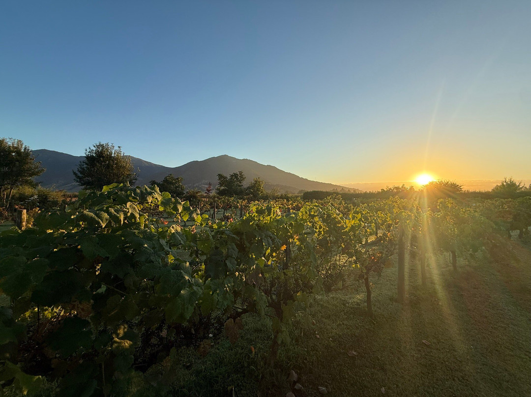 营地之家酒店主图