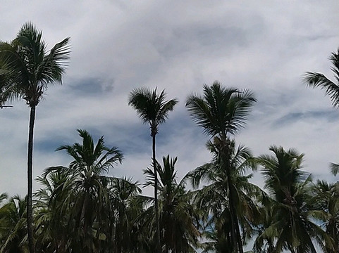 Praia De Maracaipe-嘎林海斯港必去景点