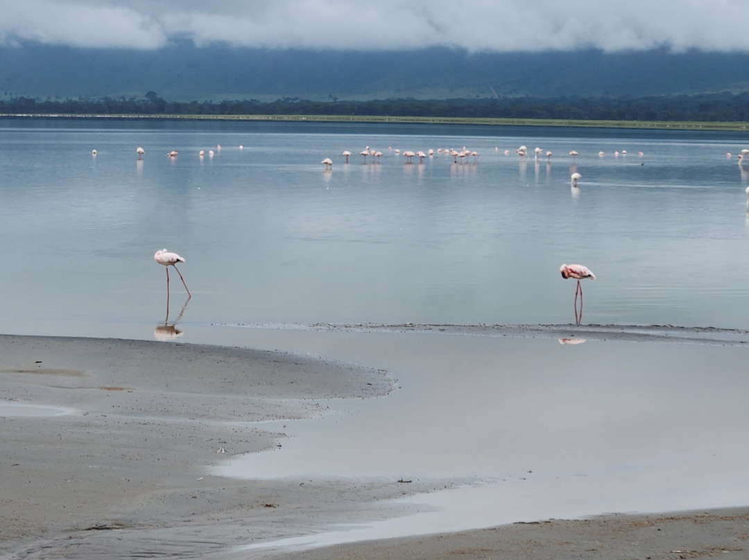 Altezza Travel-莫西必去景点