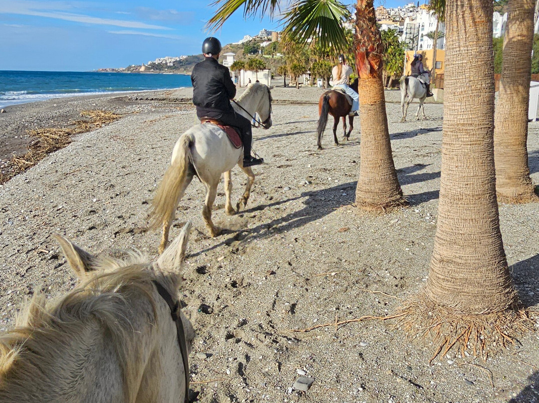 Andale Riding Nerja-内尔哈必去景点
