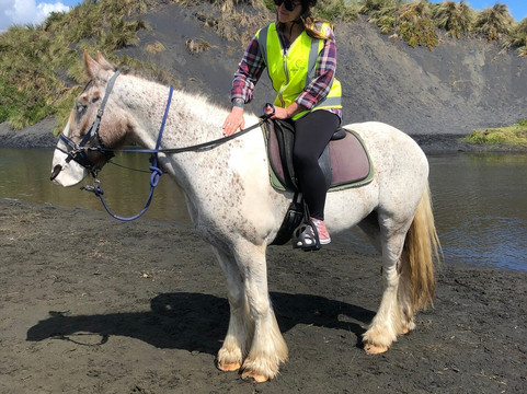 Muriwai Beach Horse Treks-穆里怀海滩必去景点