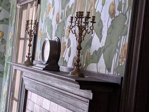 The Lands and Legacies Tour-Cumberland Island必去景点