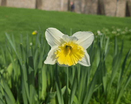 山丘别墅-埃森必去景点