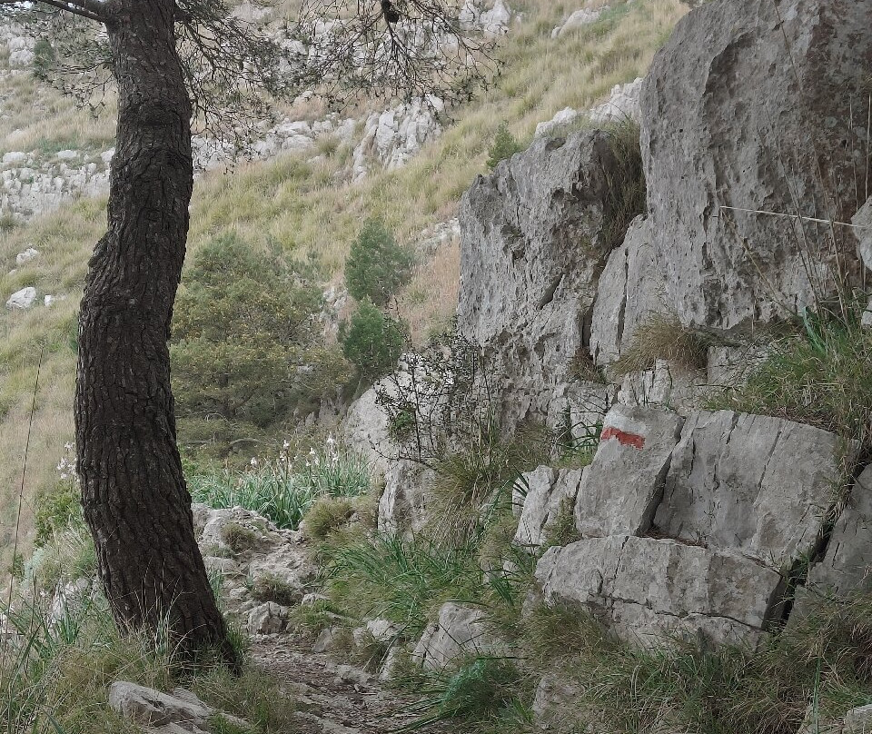 Area Marina Protetta Punta Campanella-马萨卢布伦塞必去景点