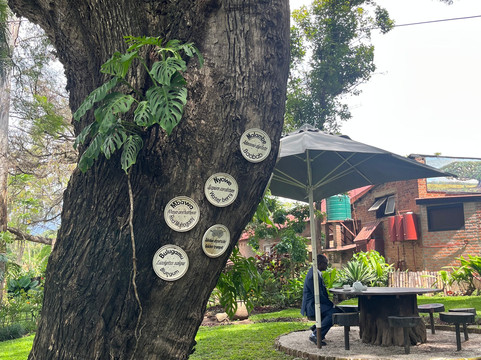 La Caverna Art Gallery-布兰岱必去景点