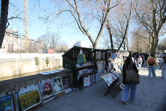 Les bouquinistes de paris-巴黎必去景点