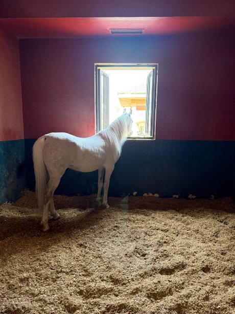 塞尔曼马拉喀什酒店-官方