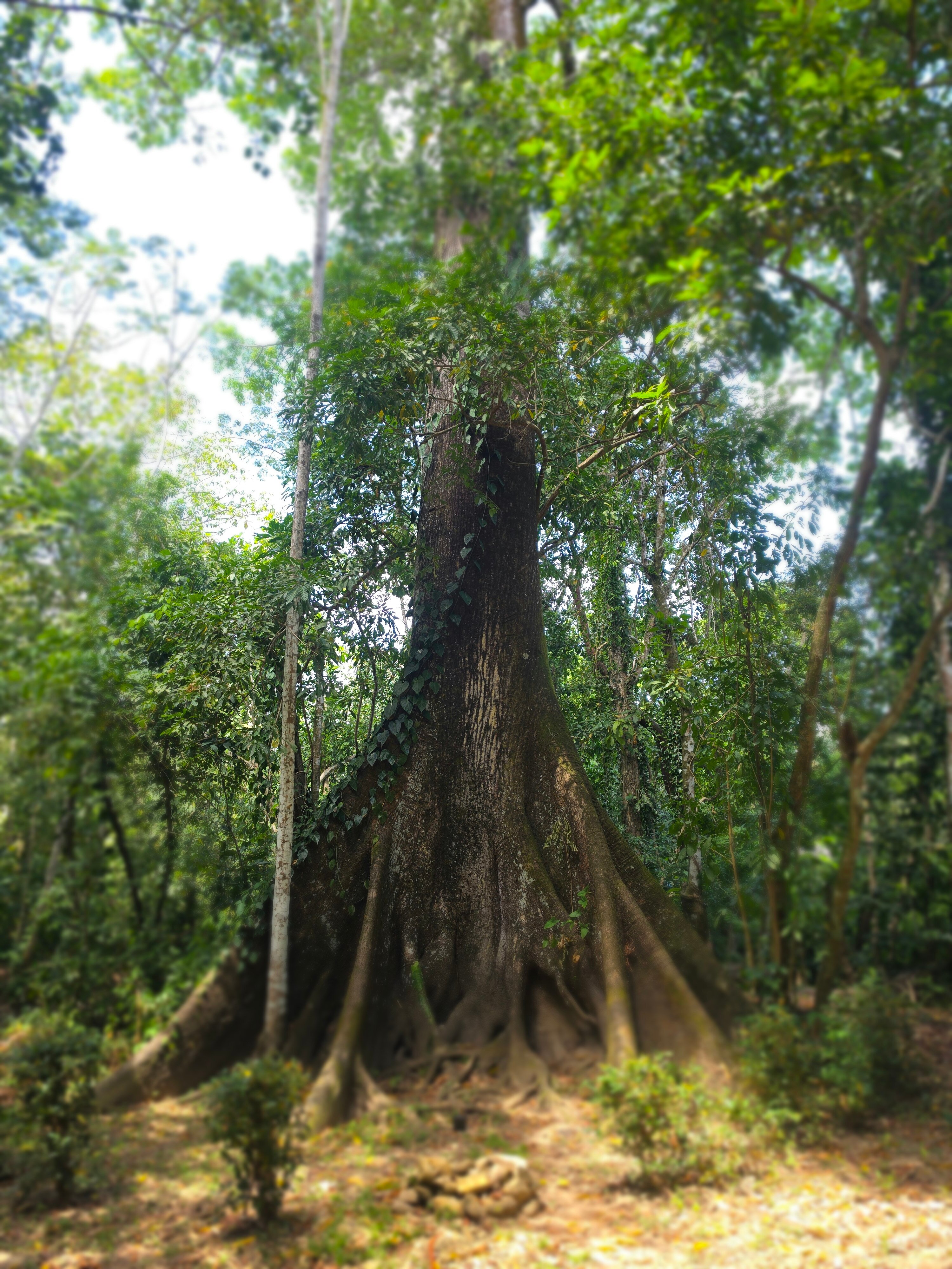 蝉卡乡村度假村-浴室
