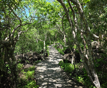 Playa Baquerizo-Puerto Baquerizo Moreno必去景点