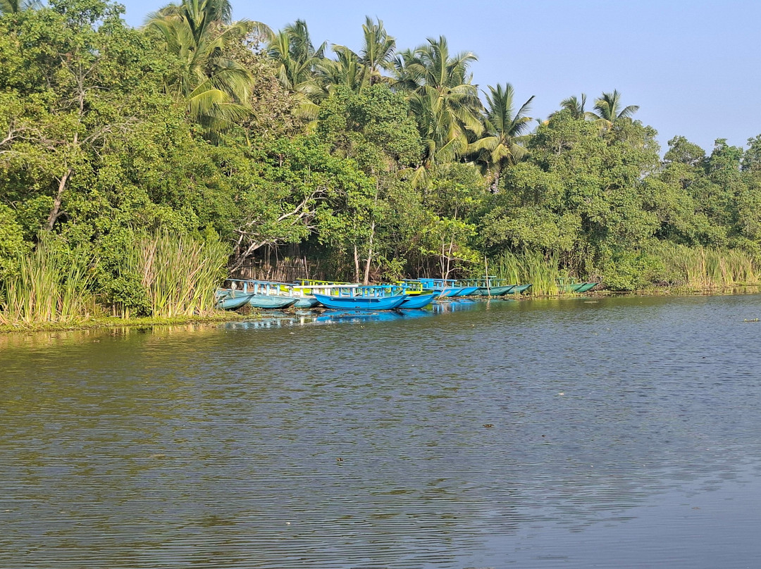 Wildlife Wonders Sri Lanka-唐卡拉必去景点