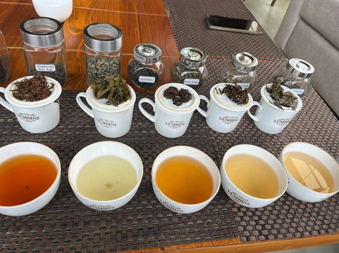 Ciao Bella Holidays-Malabe必去景点