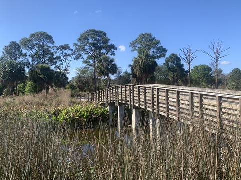 Winding Waters Natural Area-西棕榈滩必去景点