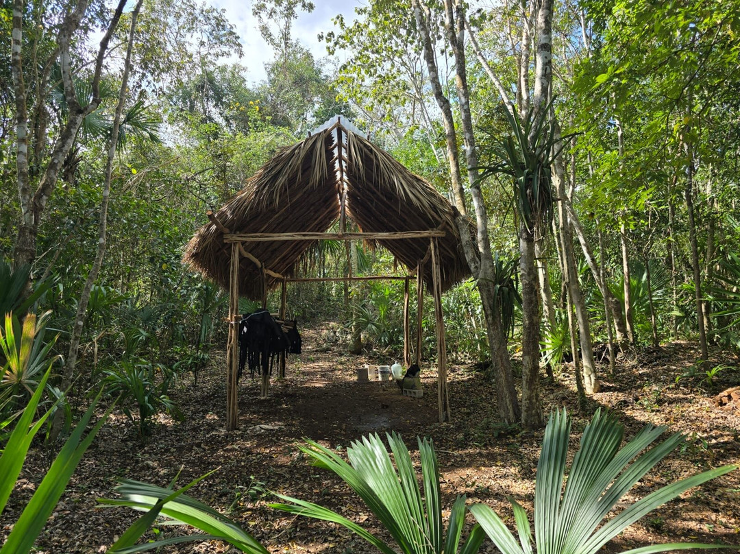 Mexique Découverte-坎昆必去景点