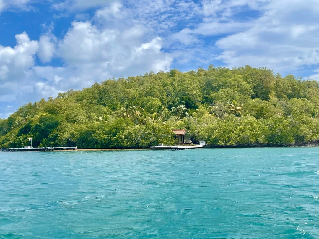 Capitaine Titi Balades en Mer-La Trinite必去景点