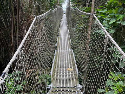 Lekki Conservation Centre-拉哥斯必去景点