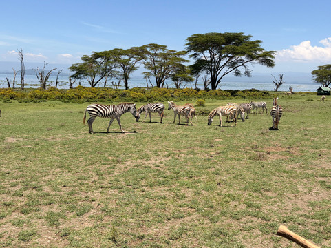 Wave remover Boat Tours Naivasha-Karagita必去景点